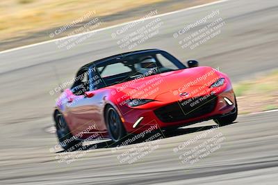 media/Mar-23-2025-West Coast Racing (Sun) [[de161b708f]]/Blue Group/Session 3 (Turns 3 and 5)/
